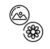 Magnety